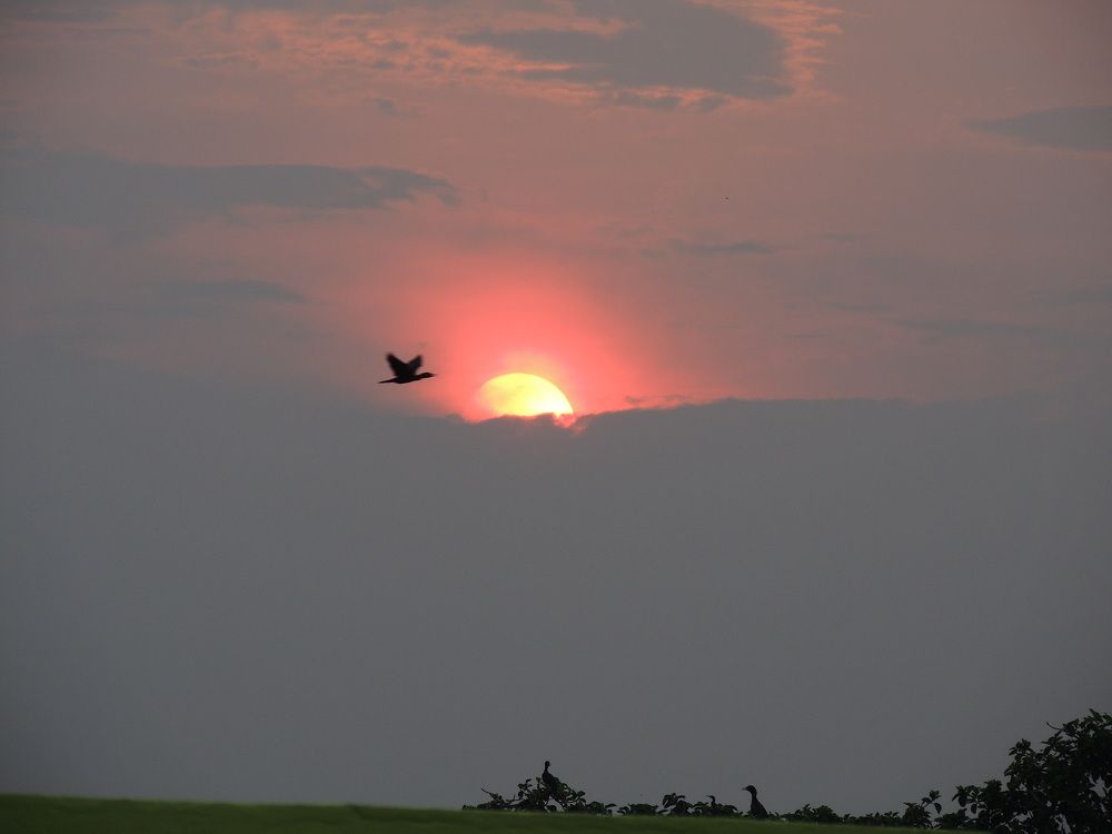 Photograph by SATADAL GHOSH
