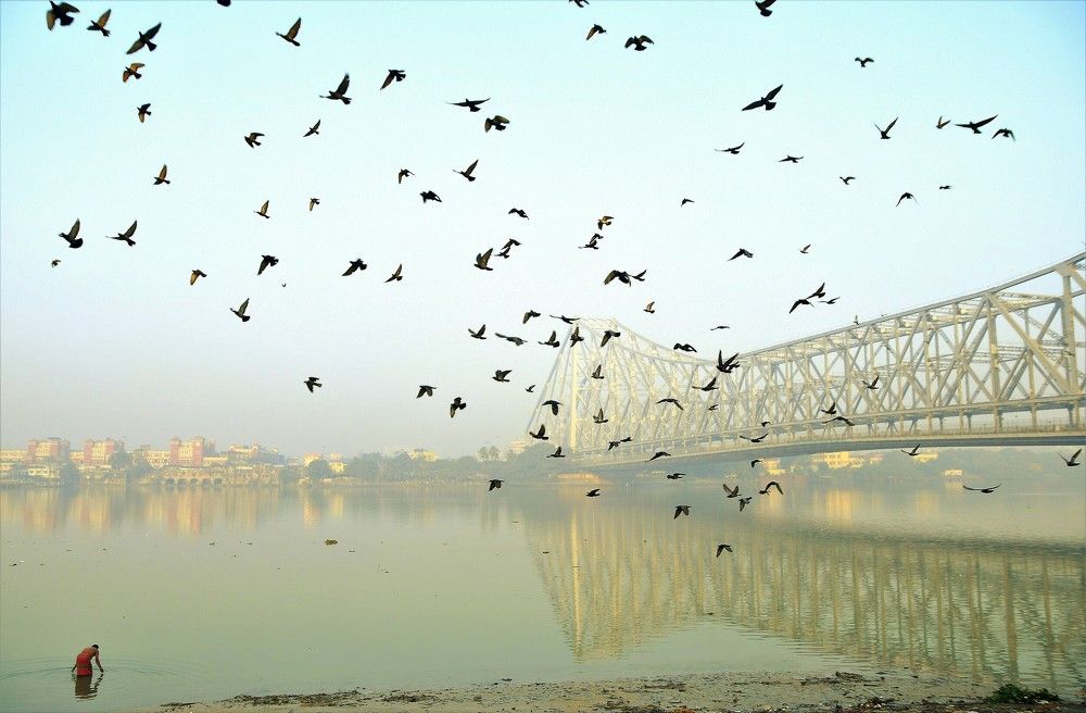 Фотография автора Saikat Mukherjee