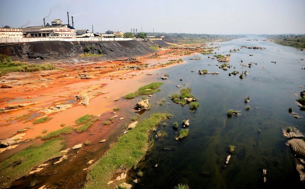 Фотография автора Saikat Mukherjee