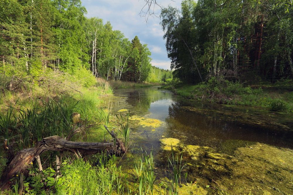 Photograph by Ирина Сушко