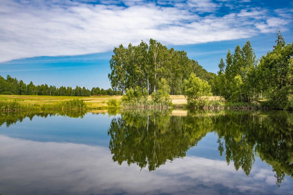 Фотография автора Екатерина Счасная