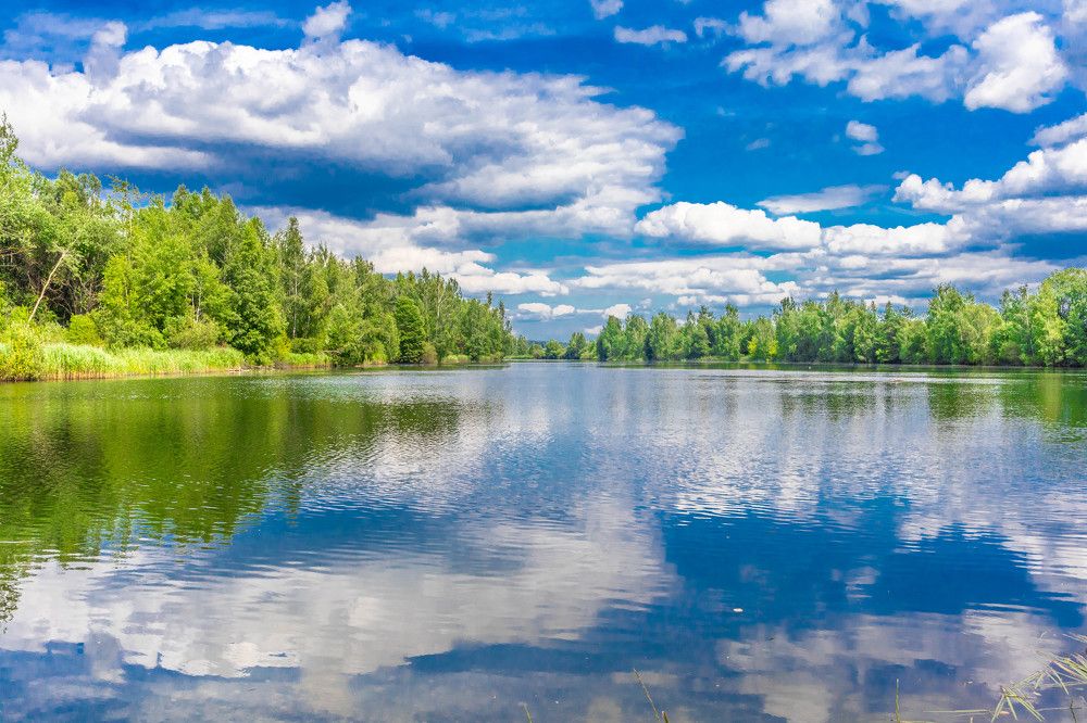 Фотография автора Екатерина Счасная