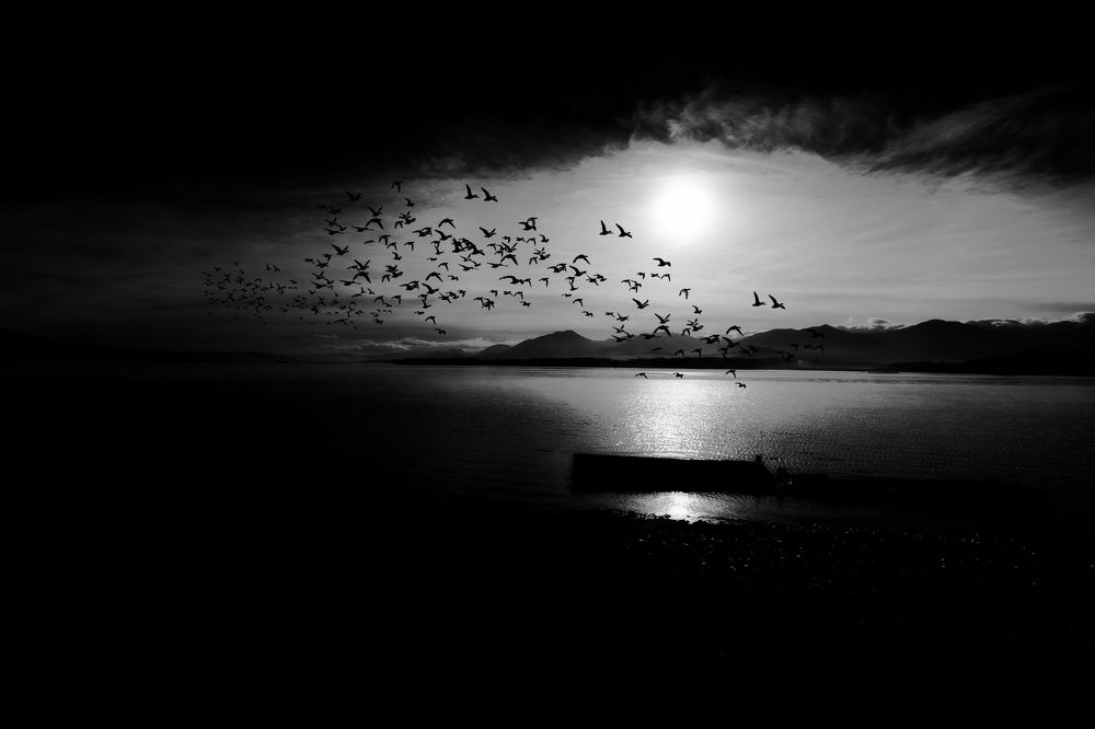 Liptovská Mara Slovakia-Silence