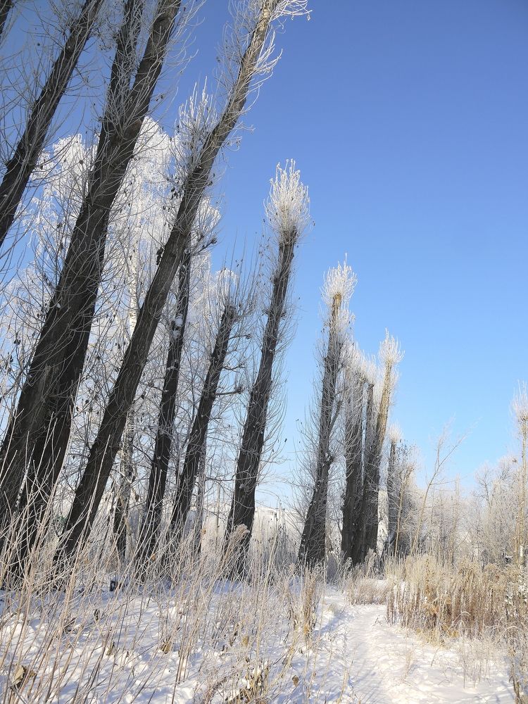 Фотография автора Клавдия Васильева