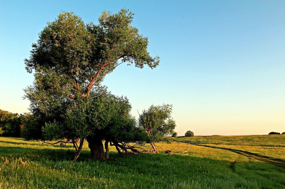 Photograph by Виктор Коршунов