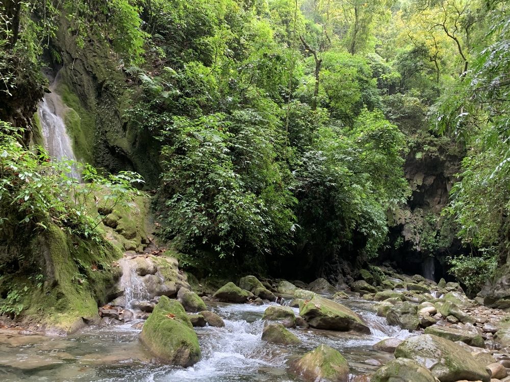 Photograph by Екатерина Чистякова