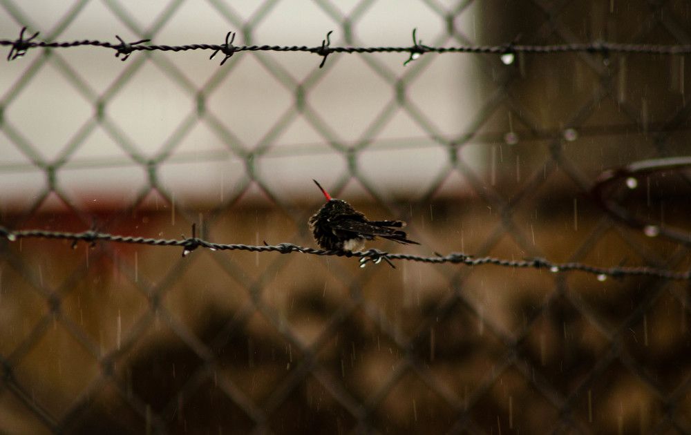 Photograph by Ruben Guerra