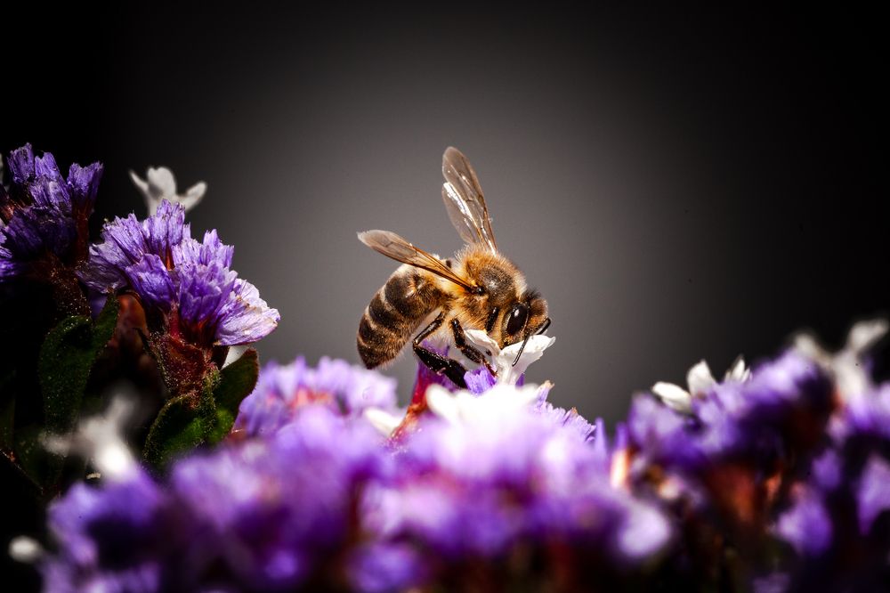 Photograph by Jose Luis Mendez Fernandez