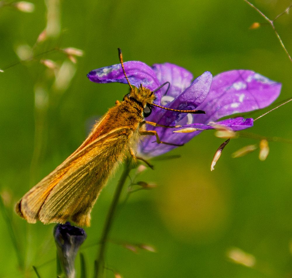 Photograph by Анастасия Литвинова