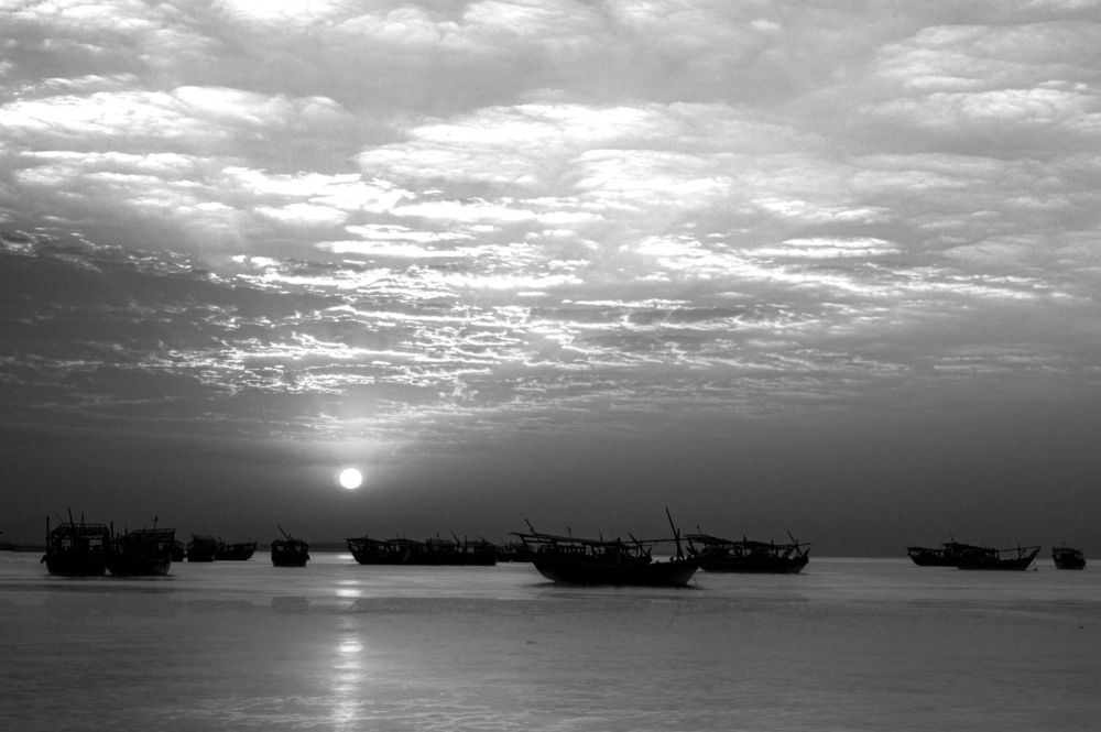 Фотография автора Elshafei Salih