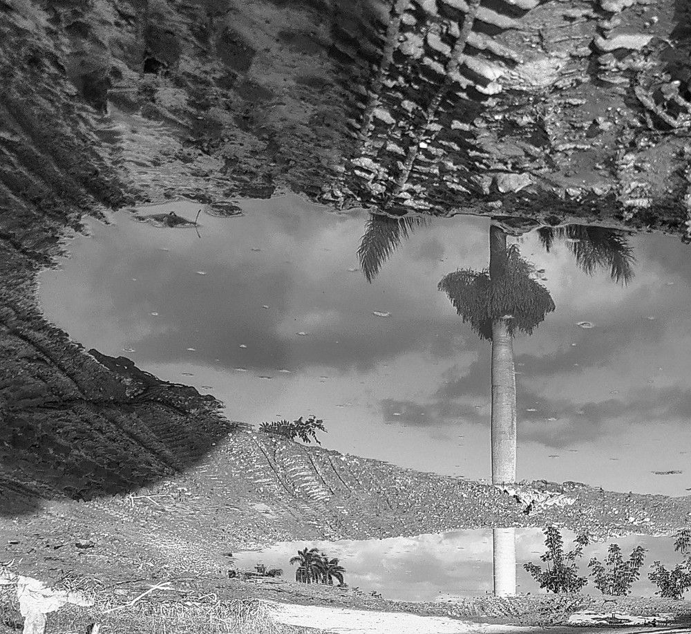 Photograph by Ilianis Cortés
