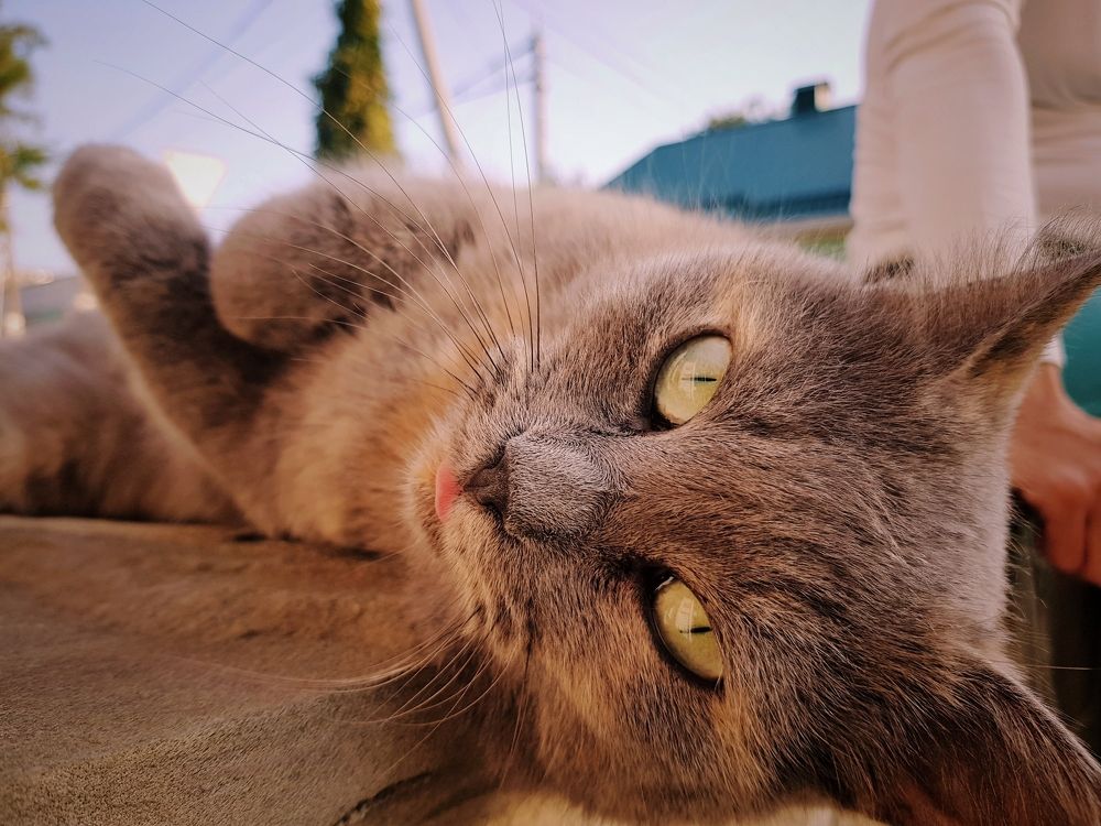 Photograph by Mikhail