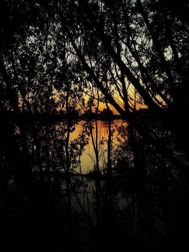 Photograph by Роман Шабан