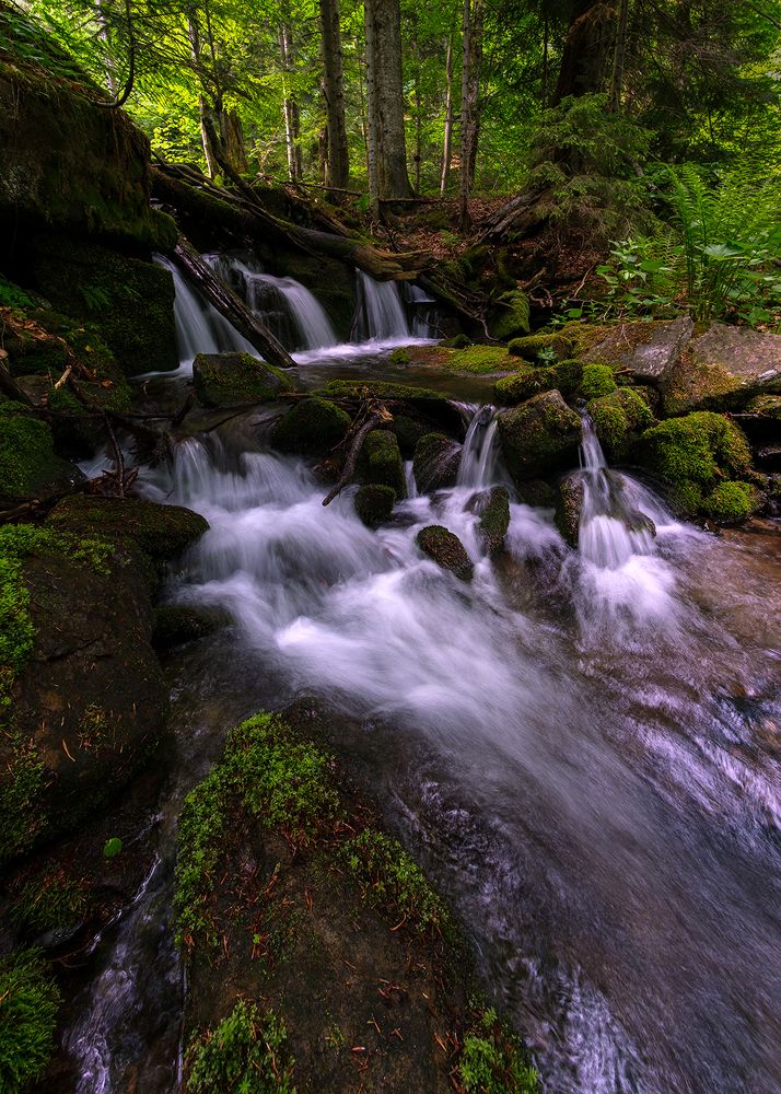 Фотография автора Stanislav Yendrek