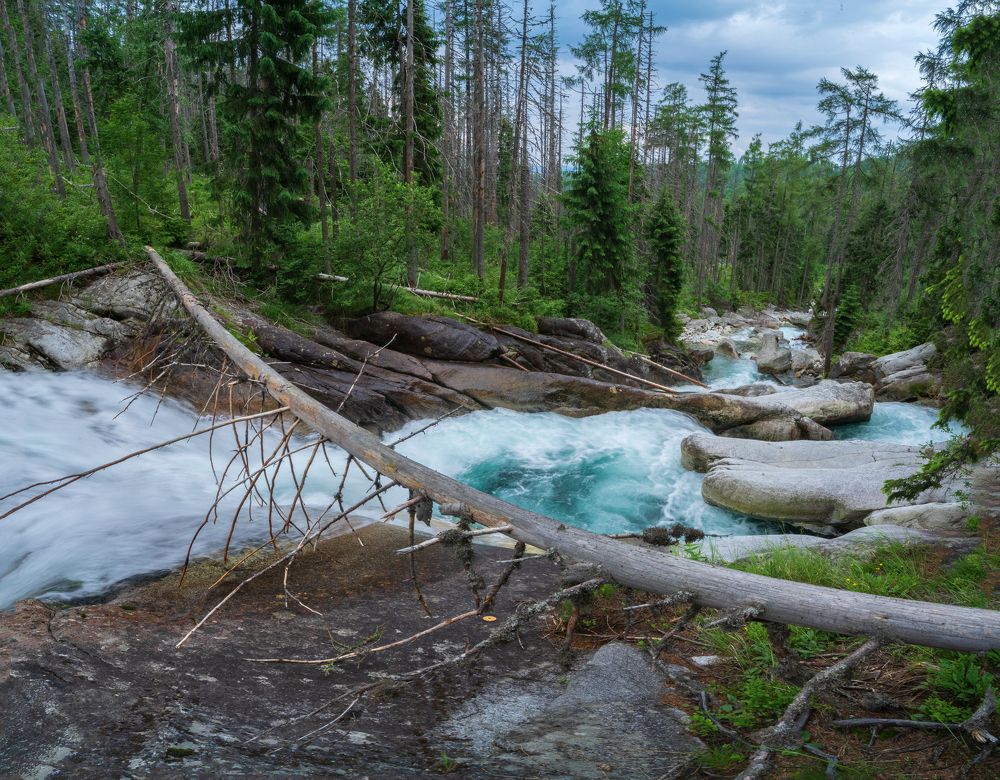 Photograph by Filip Micunda