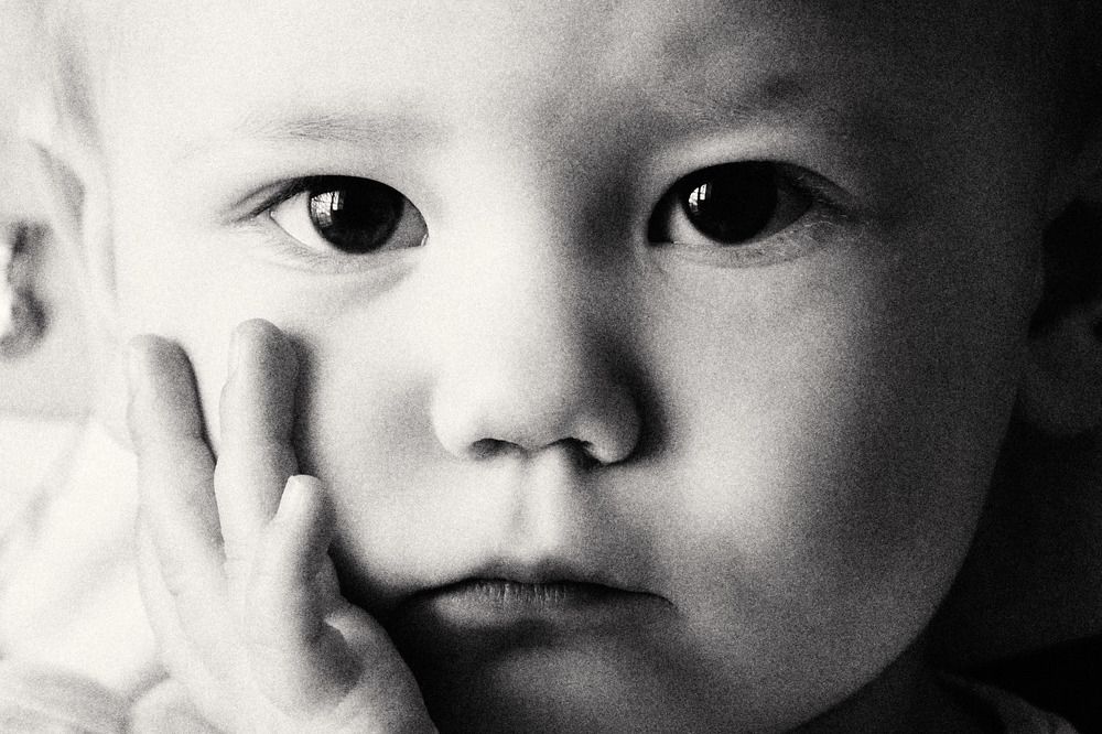 Фотография автора Александр Медведев