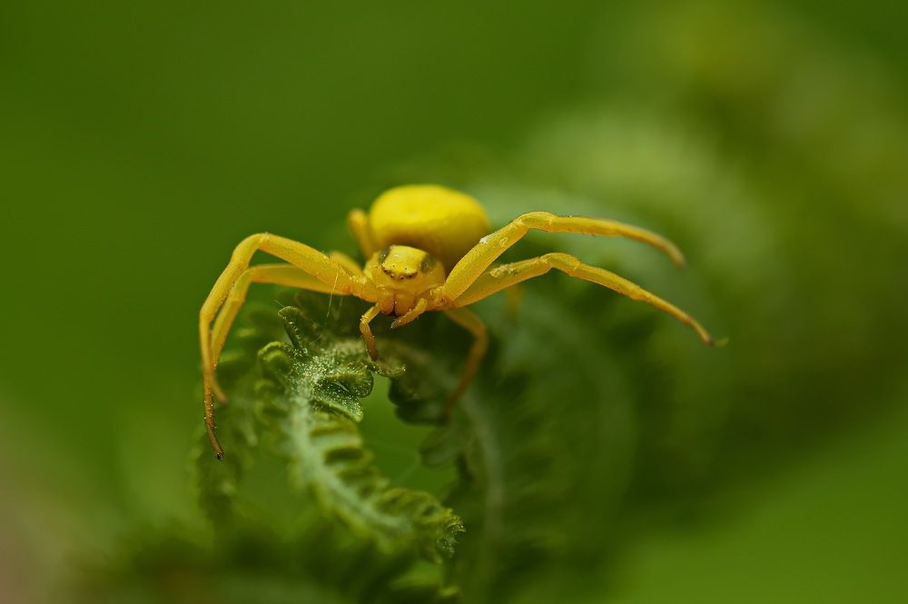 Photograph by Анатолий Васильев