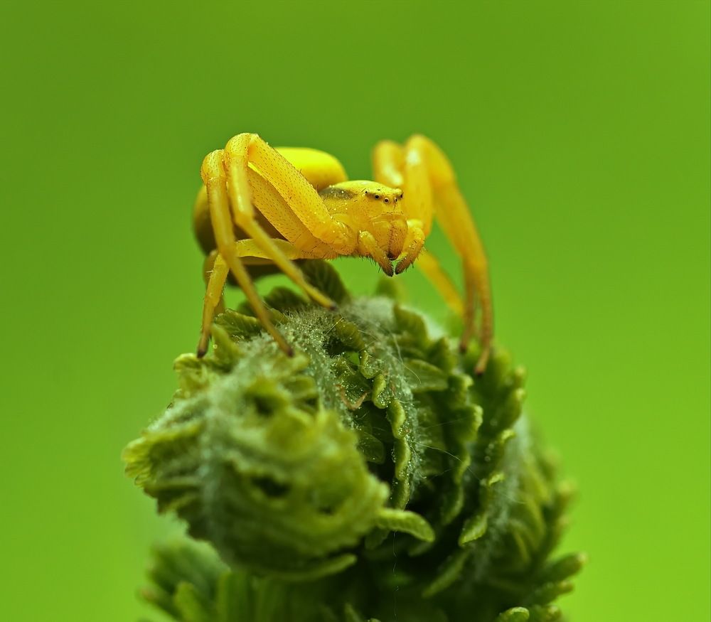 Photograph by Анатолий Васильев