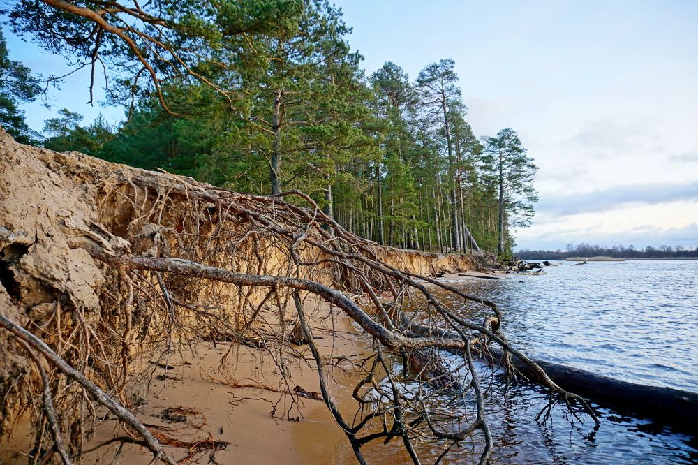 Фотография автора Сергей Барановский