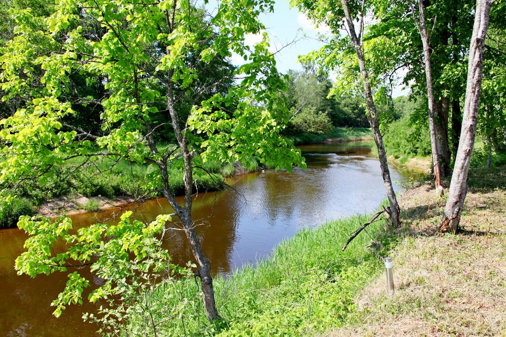Photograph by Сергей Барановский