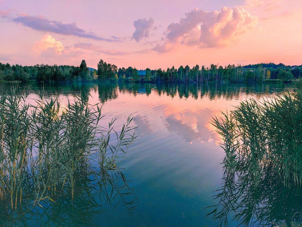 Photograph by Chic.chiquitita