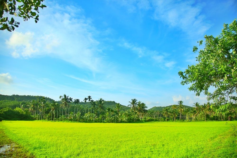 Kerala.. gods own country