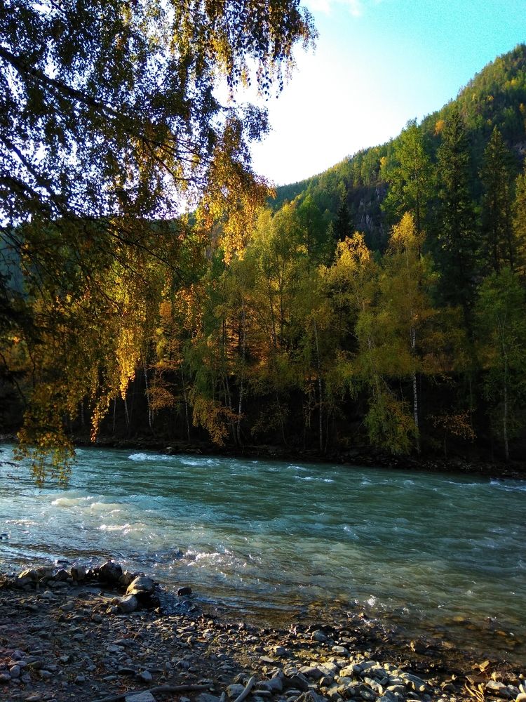 Фотография автора галина лапшина