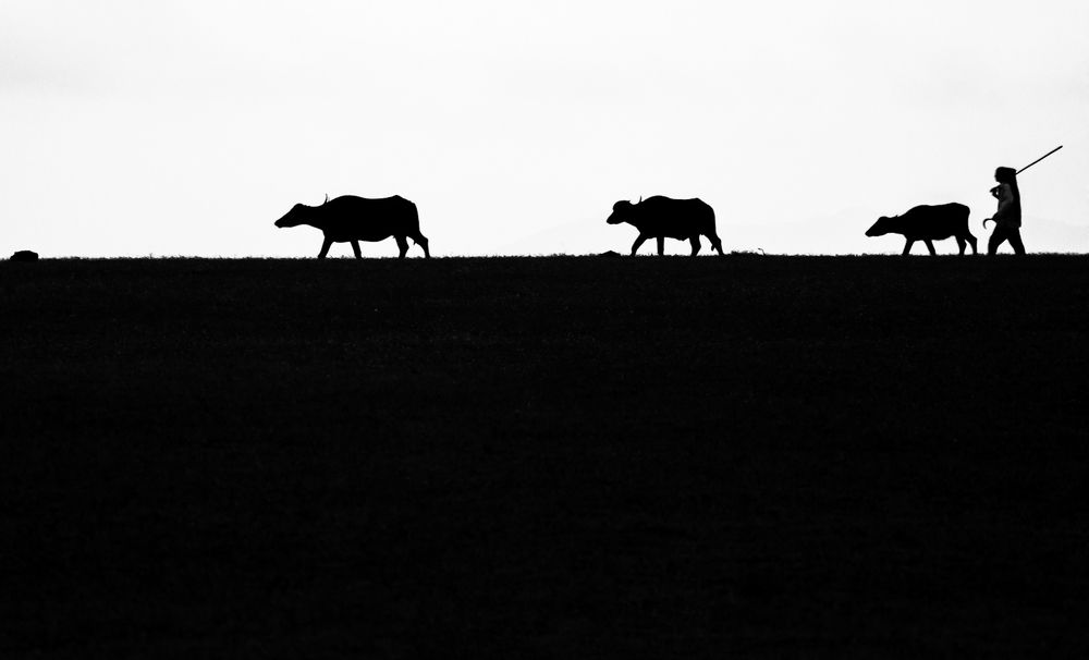 Photograph by Aryan Patil