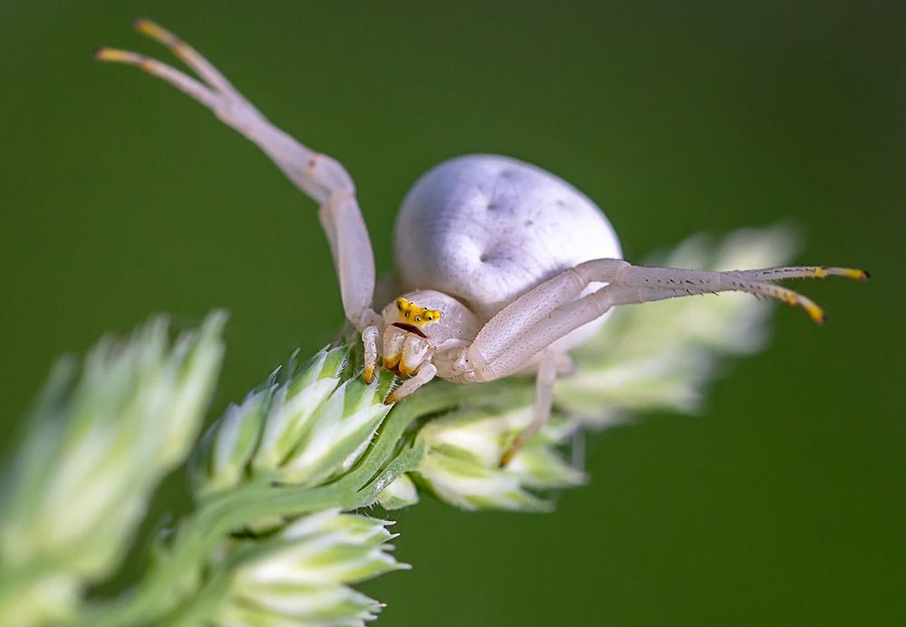 Фотография автора Andrey Pristyazhnyuk