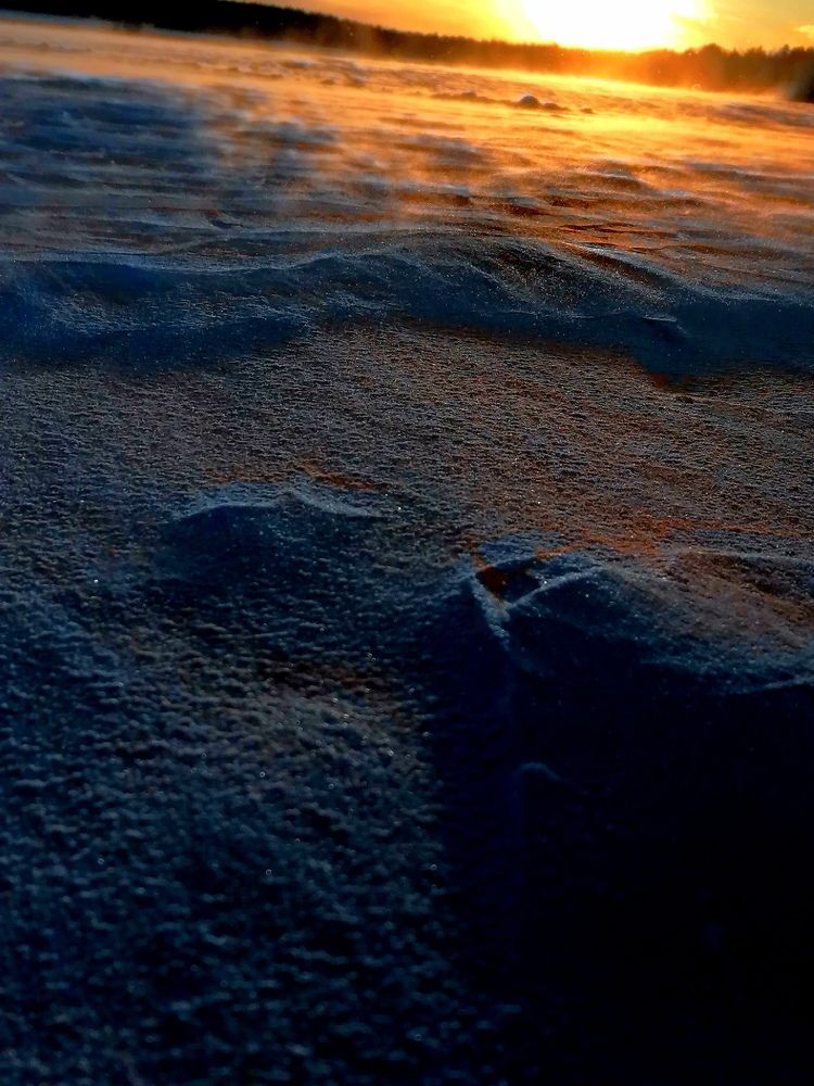 Photograph by Алексей Савинов