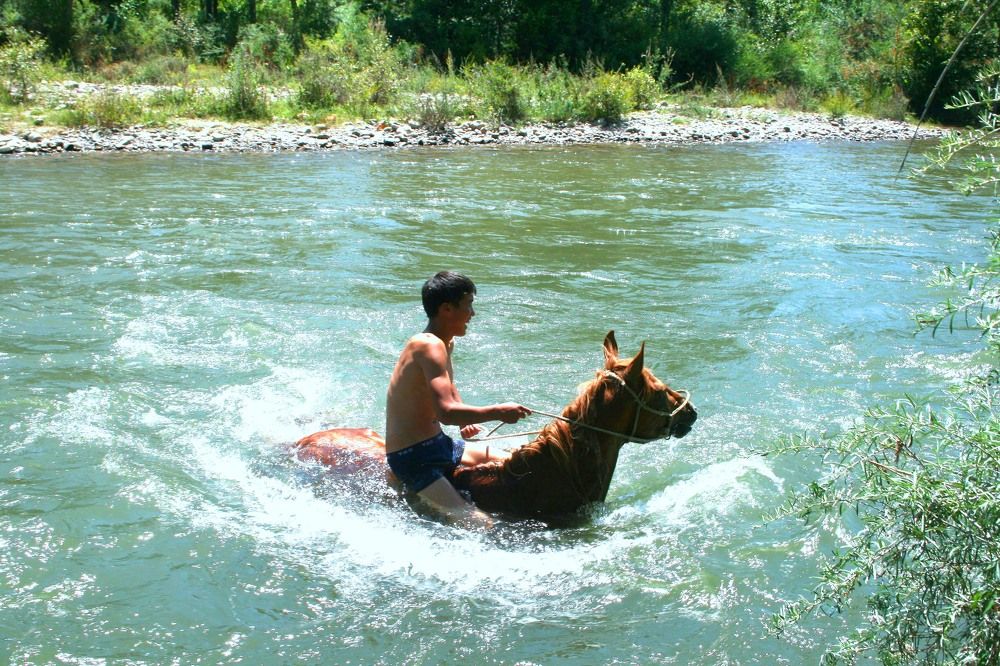 Половодье речки Талас
