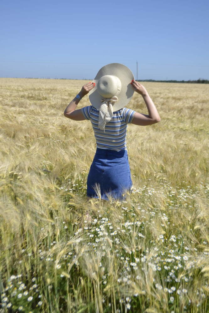 ромашковое поле