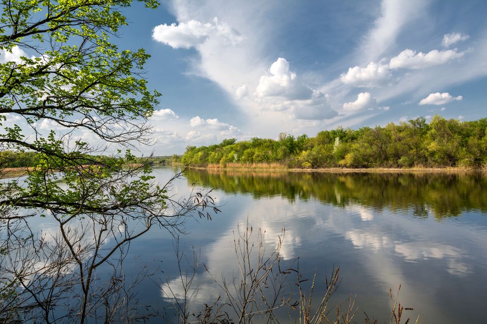 Photograph by Елена Ковалева