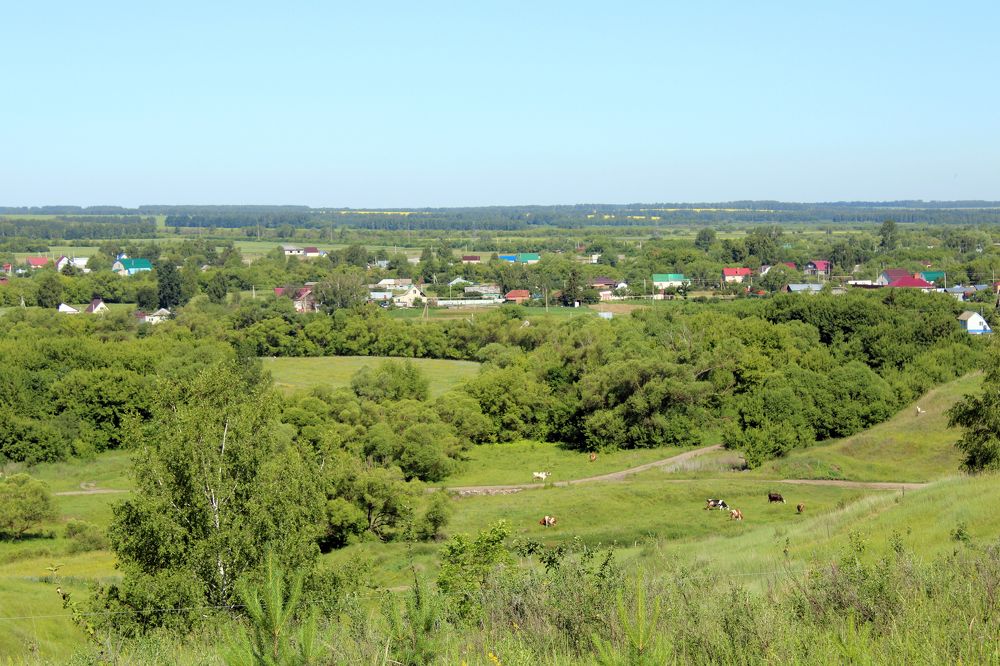 деревенская жизнь
