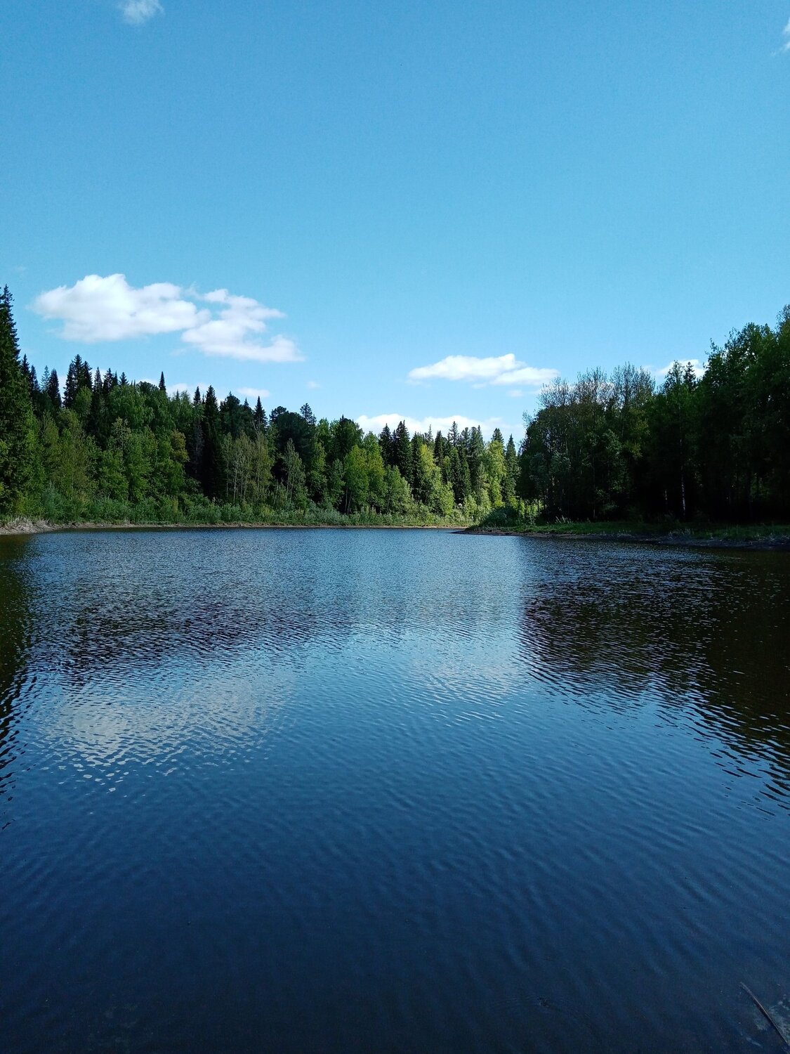 Photo #6282942