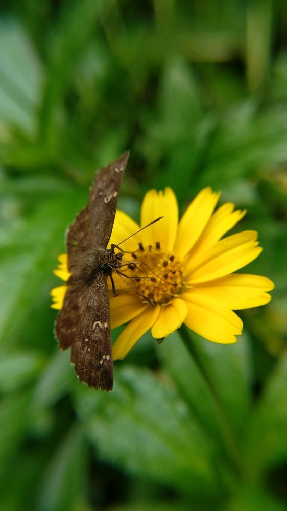 Фотография автора Pavitra Shettigar