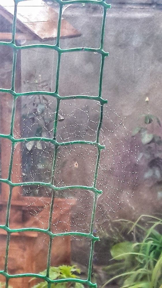 Photograph by Наталья Пусулиди