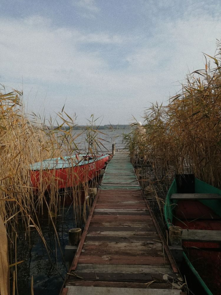 Photograph by Victoria Polivko