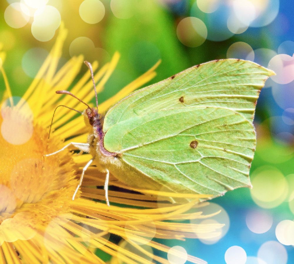 Photograph by Нина Минченко