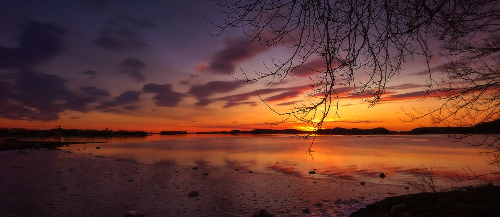 Photograph by Elena Yarantseva