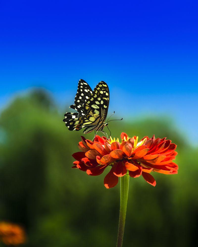 Photograph by mahdi nasr