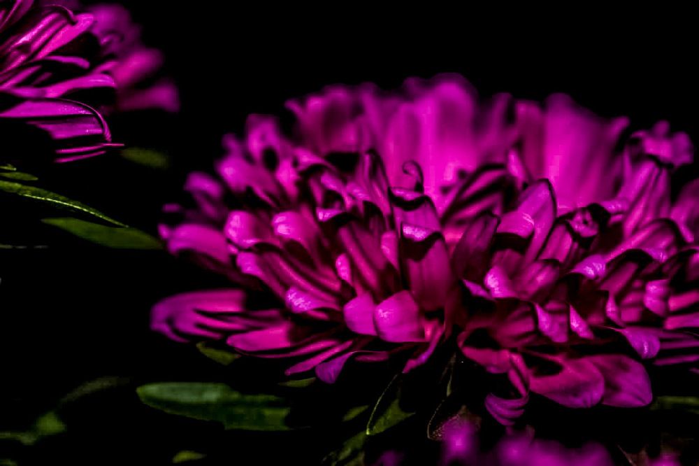 Фотография автора Алина Батын