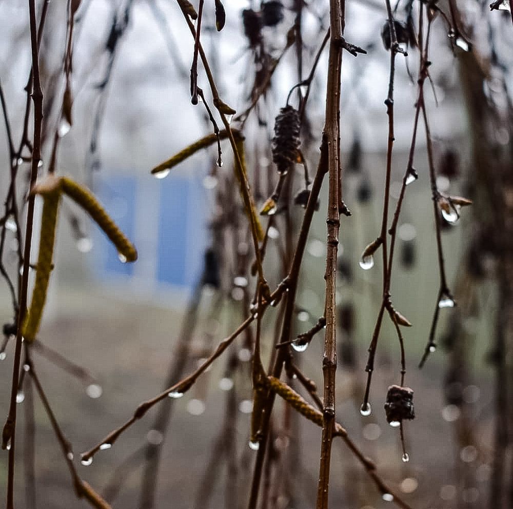 Фотография автора Алина Батын