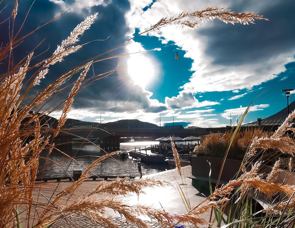 Фотография автора Anna NovaLova