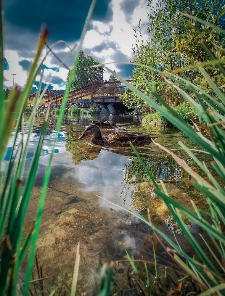 Фотография автора Anna NovaLova