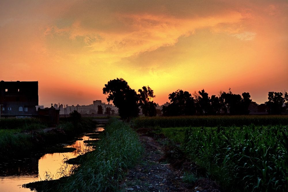 Фотография автора Ashraf Muhamed