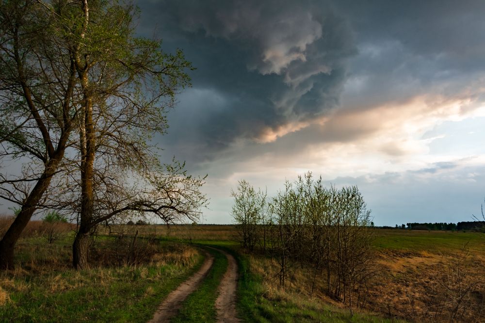 Photograph by Алексей Левенко