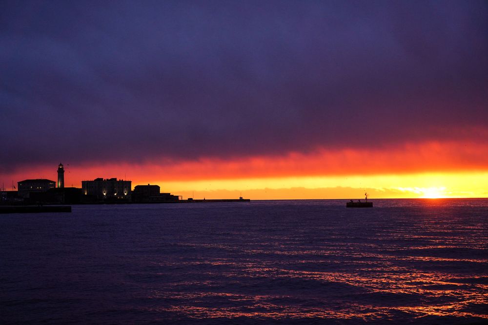 Photograph by Samantha Degrassi