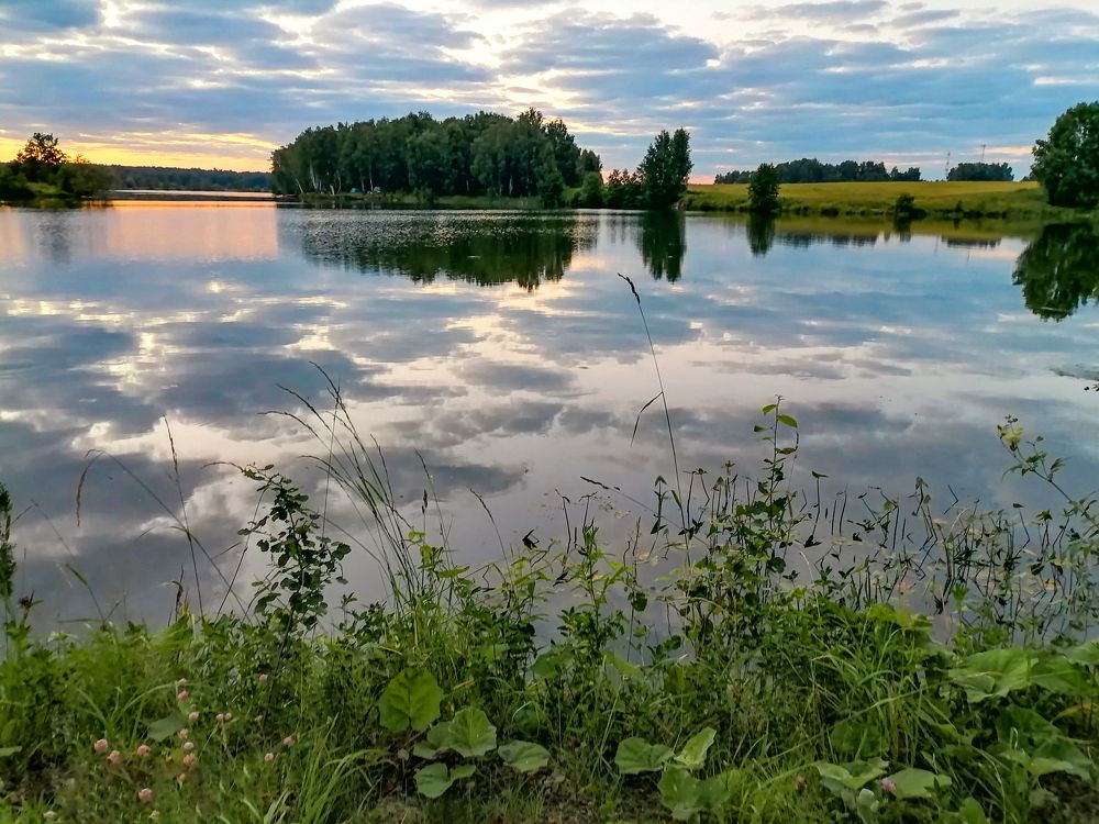 Фотография автора Елена Савельева
