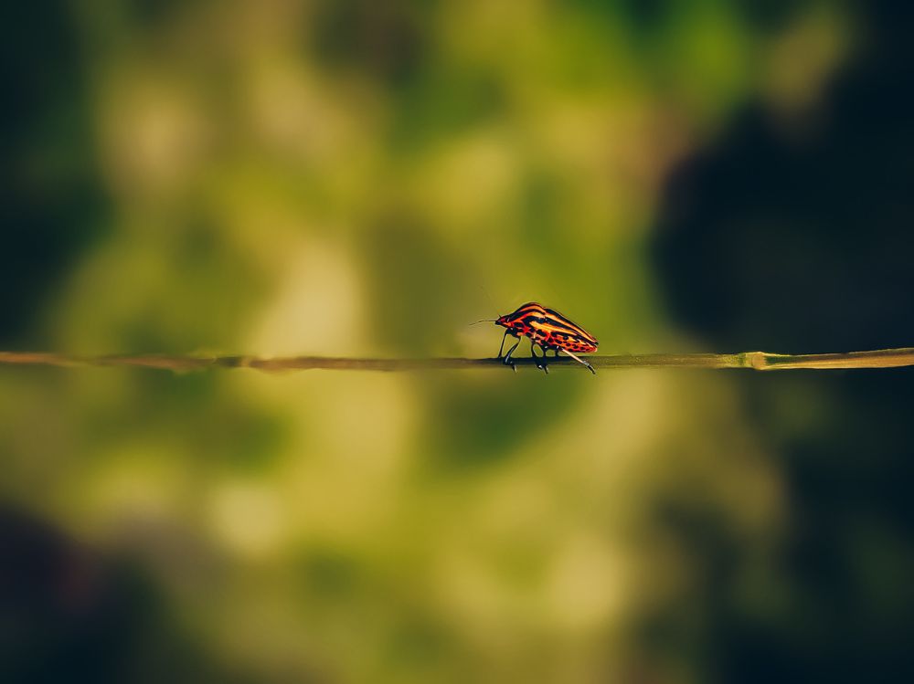 Photograph by Paweł Charkiewicz